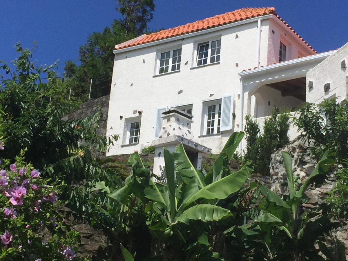 Lomba  Vivenda Flores - Apartment Hibisco מראה חיצוני תמונה